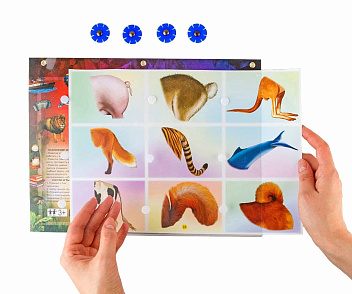 ЛОГИЧЕСКИЙ ЭКРАН. Набор.  Для детей 4-8 лет.  – портал поставщиков НСППО - 4